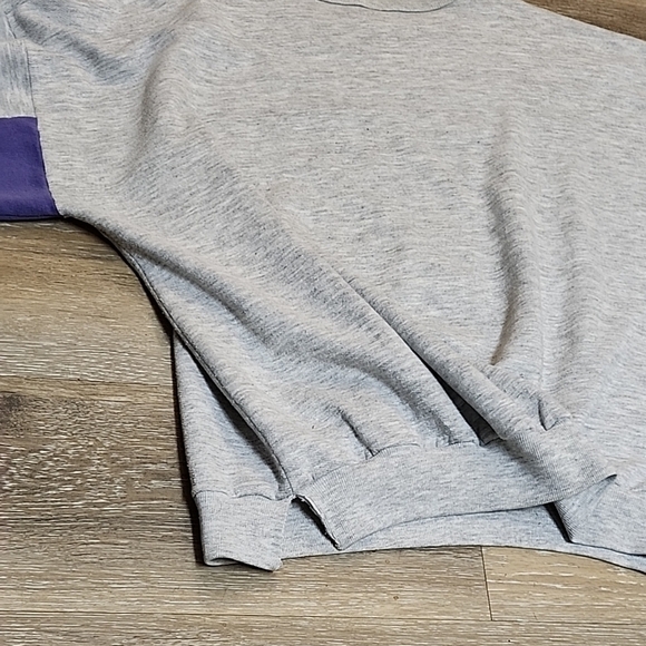 Everlast Gray Sweatshirt with Purple Details - Picture 8 of 9